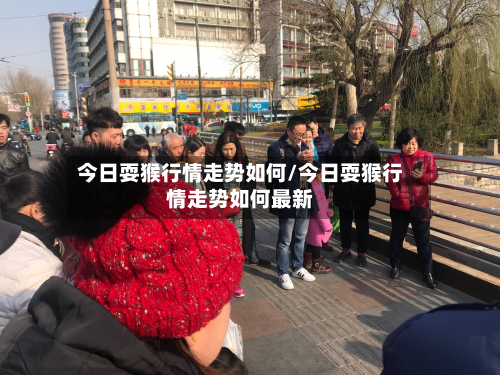 今日耍猴行情走势如何/今日耍猴行情走势如何最新-第2张图片