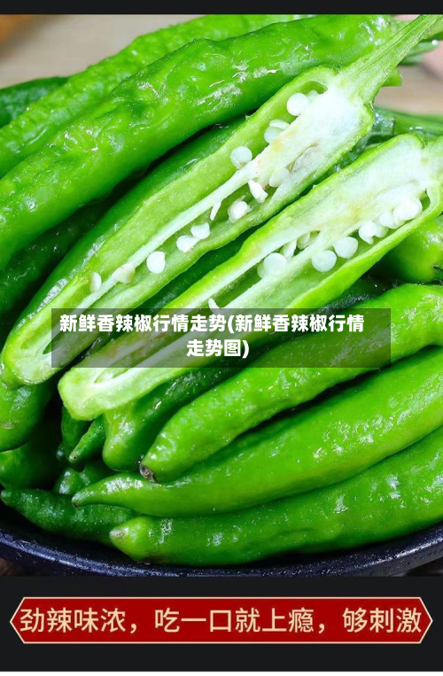 新鲜香辣椒行情走势(新鲜香辣椒行情走势图)