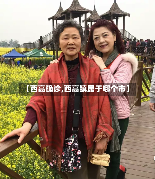 【西高确诊,西高镇属于哪个市】-第2张图片