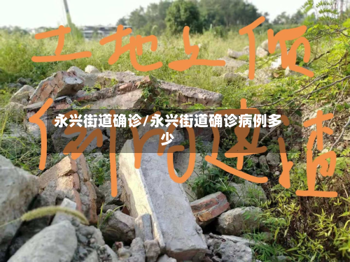 永兴街道确诊/永兴街道确诊病例多少-第1张图片