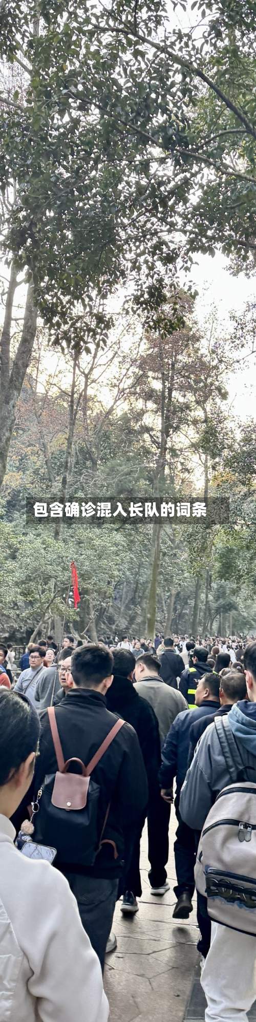 包含确诊混入长队的词条-第3张图片