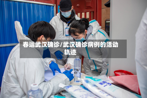 春运武汉确诊/武汉确诊病例的活动轨迹