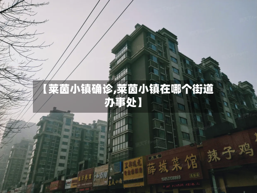 【莱茵小镇确诊,莱茵小镇在哪个街道办事处】-第2张图片