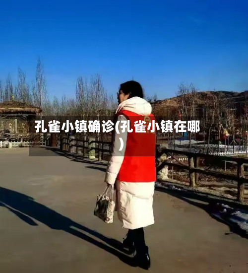 孔雀小镇确诊(孔雀小镇在哪)-第3张图片
