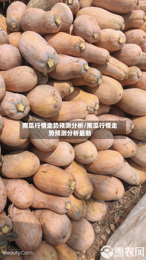 南瓜行情走势预测分析/南瓜行情走势预测分析最新-第2张图片