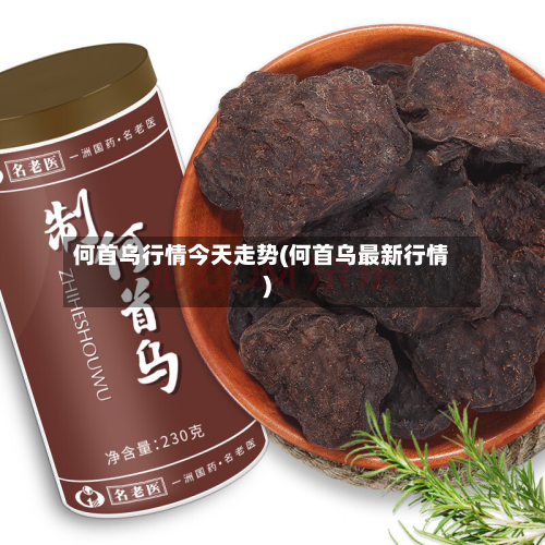 何首乌行情今天走势(何首乌最新行情)
