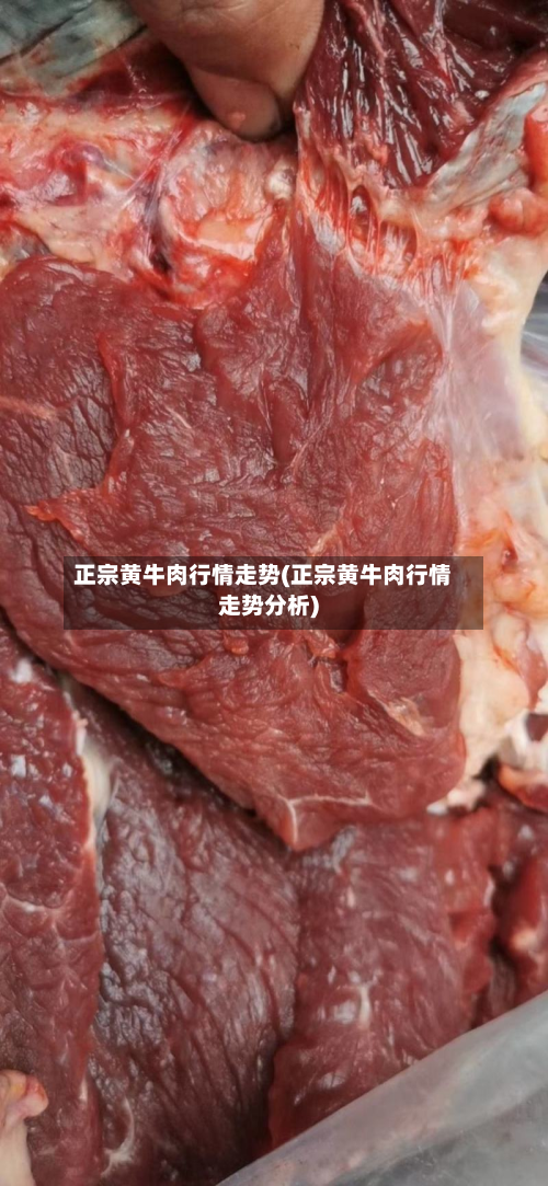 正宗黄牛肉行情走势(正宗黄牛肉行情走势分析)