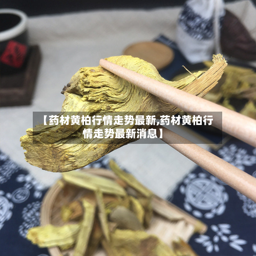 【药材黄柏行情走势最新,药材黄柏行情走势最新消息】