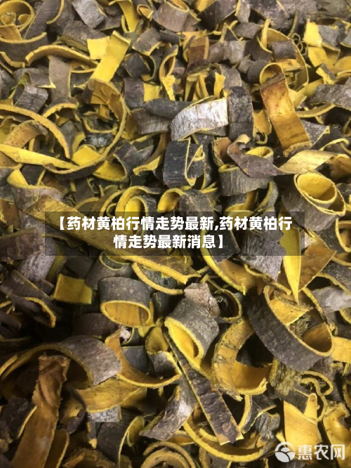 【药材黄柏行情走势最新,药材黄柏行情走势最新消息】-第2张图片
