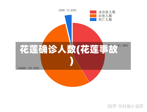 花莲确诊人数(花莲事故)-第2张图片