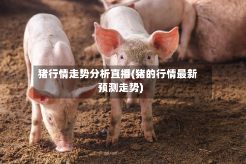 猪行情走势分析直播(猪的行情最新预测走势)