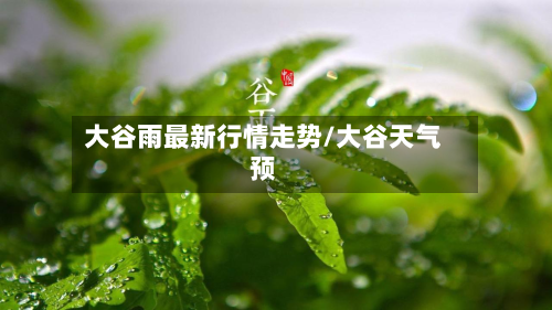 大谷雨最新行情走势/大谷天气预-第2张图片