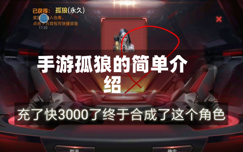 手游孤狼的简单介绍-第2张图片
