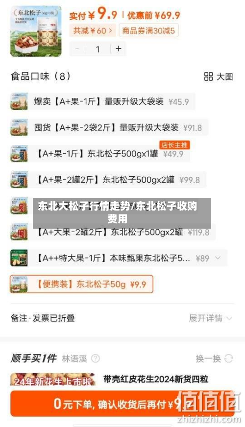 东北大松子行情走势/东北松子收购费用-第2张图片