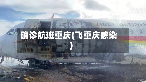 确诊航班重庆(飞重庆感染)-第2张图片