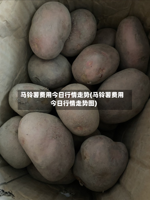马铃薯费用今日行情走势(马铃薯费用今日行情走势图)-第2张图片