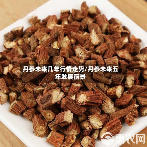 丹参未来几年行情走势/丹参未来五年发展前景-第2张图片