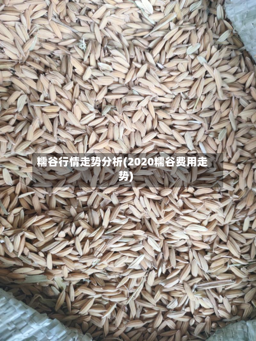 糯谷行情走势分析(2020糯谷费用走势)