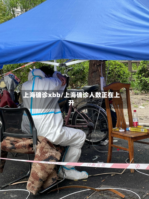 上海确诊xbb/上海确诊人数正在上升-第2张图片