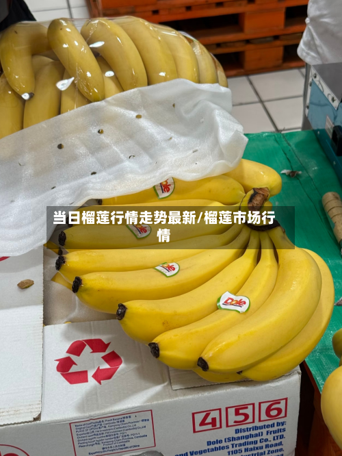 当日榴莲行情走势最新/榴莲市场行情