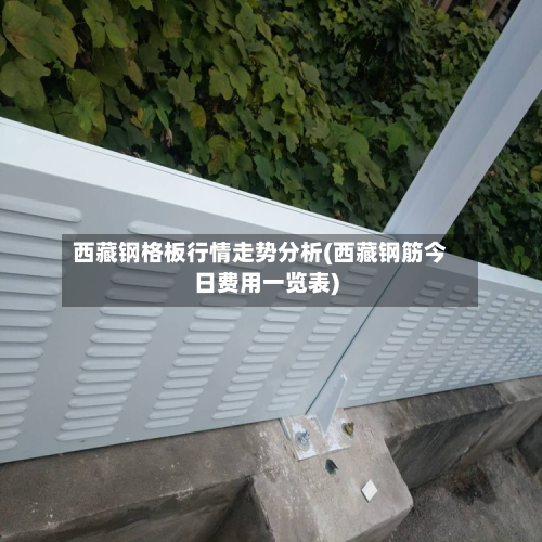 西藏钢格板行情走势分析(西藏钢筋今日费用一览表)-第3张图片