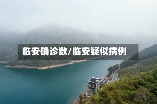 临安确诊数/临安疑似病例