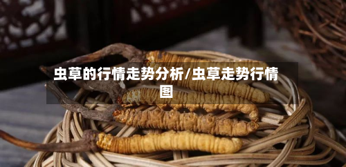 虫草的行情走势分析/虫草走势行情图