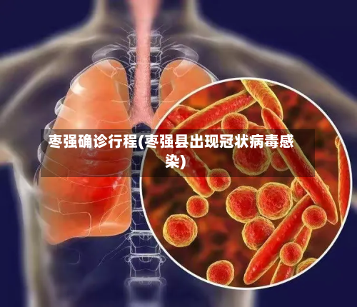 枣强确诊行程(枣强县出现冠状病毒感染)-第2张图片