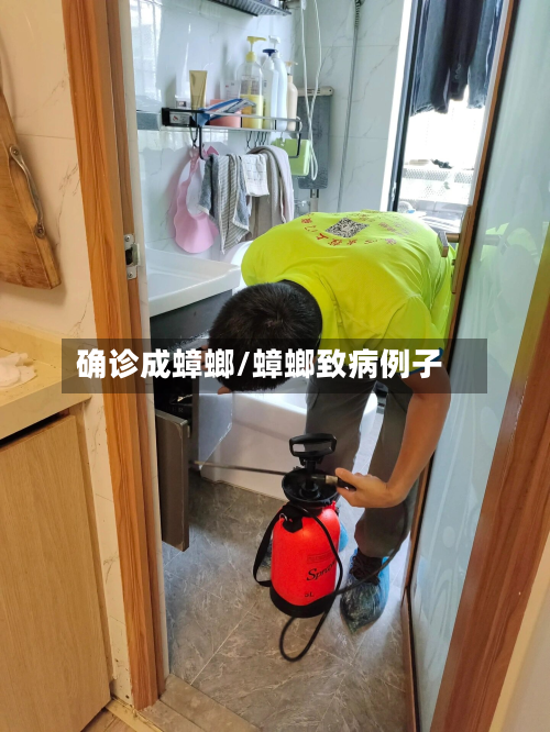 确诊成蟑螂/蟑螂致病例子