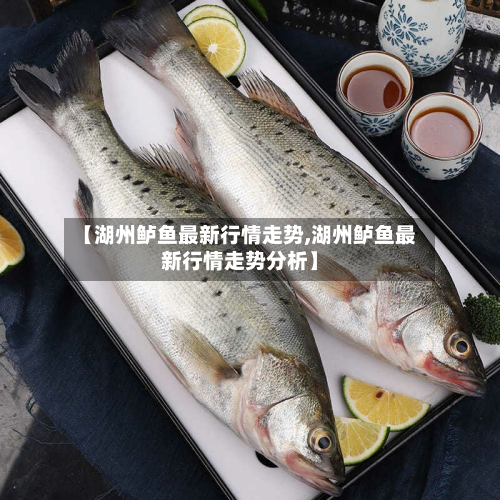 【湖州鲈鱼最新行情走势,湖州鲈鱼最新行情走势分析】