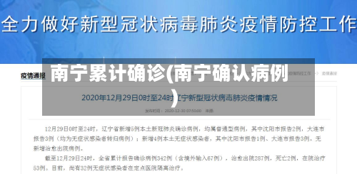 南宁累计确诊(南宁确认病例)-第2张图片