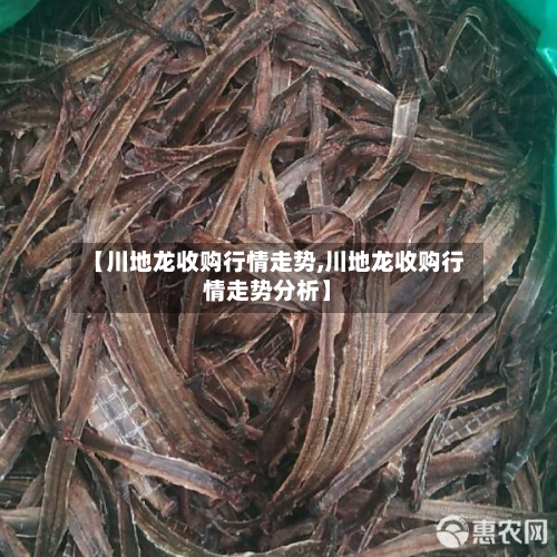 【川地龙收购行情走势,川地龙收购行情走势分析】-第2张图片