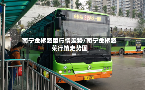 南宁金桥蔬菜行情走势/南宁金桥蔬菜行情走势图-第2张图片