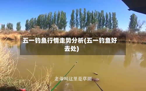 五一钓鱼行情走势分析(五一钓鱼好去处)