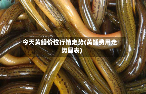 今天黄鳝价位行情走势(黄鳝费用走势图表)