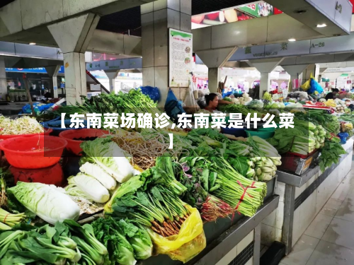 【东南菜场确诊,东南菜是什么菜】