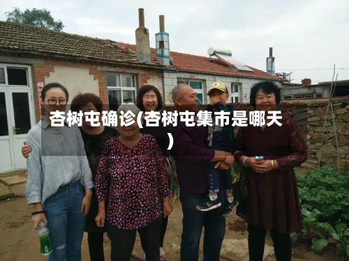 杏树屯确诊(杏树屯集市是哪天)