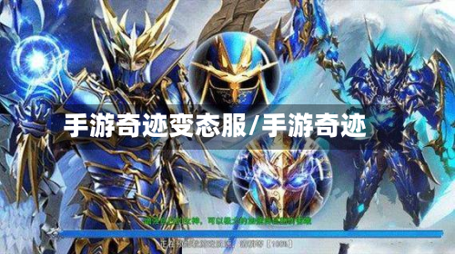 手游奇迹变态服/手游奇迹