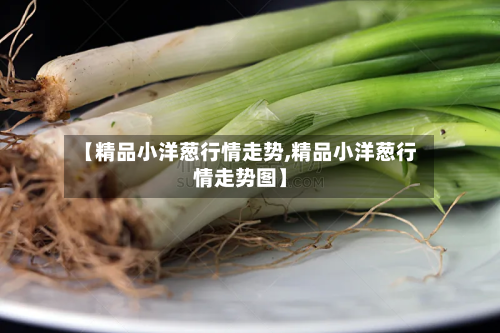 【精品小洋葱行情走势,精品小洋葱行情走势图】