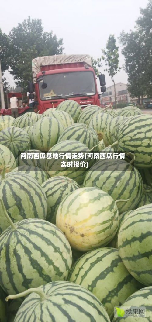 河南西瓜基地行情走势(河南西瓜行情实时报价)