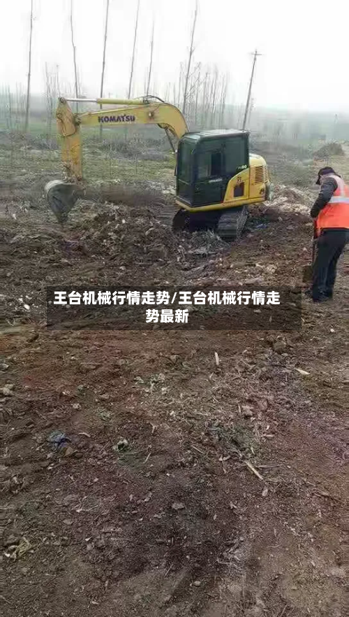王台机械行情走势/王台机械行情走势最新-第2张图片