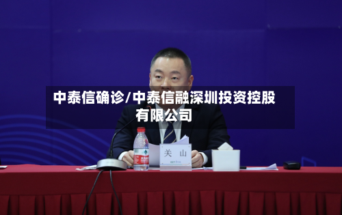 中泰信确诊/中泰信融深圳投资控股有限公司-第2张图片