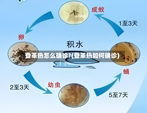 登革热怎么确诊?(登革热如何确诊)