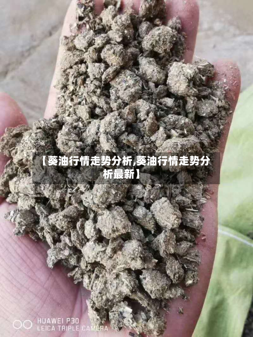 【葵油行情走势分析,葵油行情走势分析最新】-第2张图片