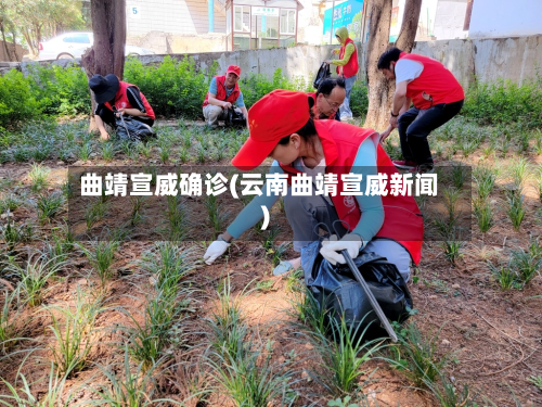 曲靖宣威确诊(云南曲靖宣威新闻)-第2张图片
