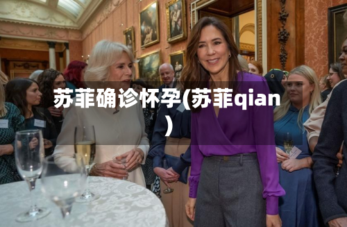 苏菲确诊怀孕(苏菲qian)-第2张图片