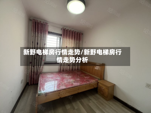 新野电梯房行情走势/新野电梯房行情走势分析