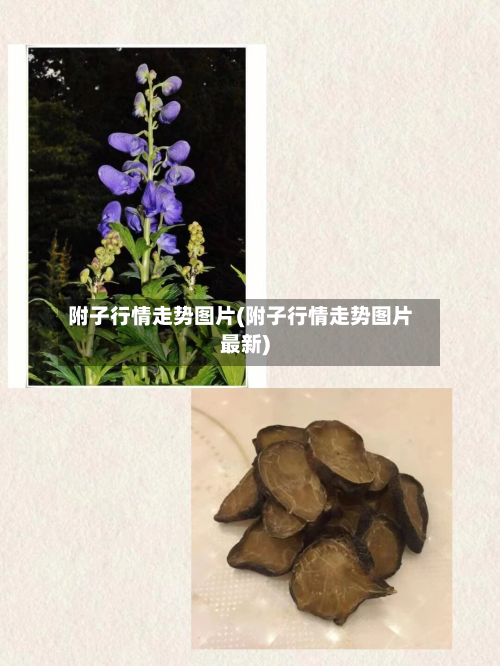 附子行情走势图片(附子行情走势图片最新)-第2张图片