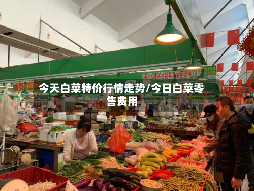 今天白菜特价行情走势/今日白菜零售费用