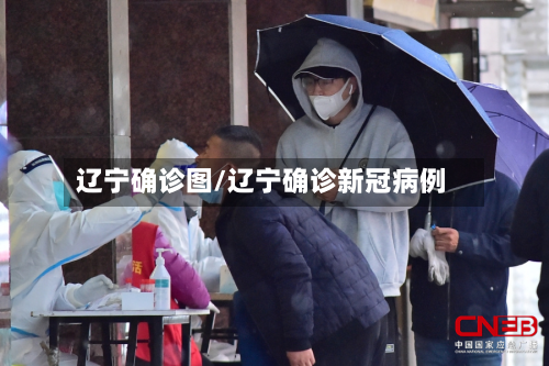 辽宁确诊图/辽宁确诊新冠病例-第2张图片